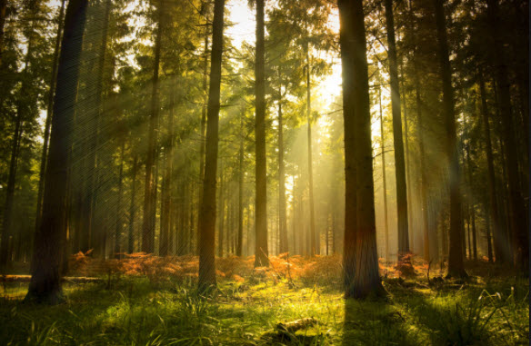 GIỚI THIỆU CHUNG VỀ CHI CỤC THỦY LỢI VÀ QUẢN LÝ TÀI NGUYÊN NƯỚC TỈNH ĐẮK LẮK